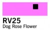 Copic Sketch-Dog Rose Flower RV25